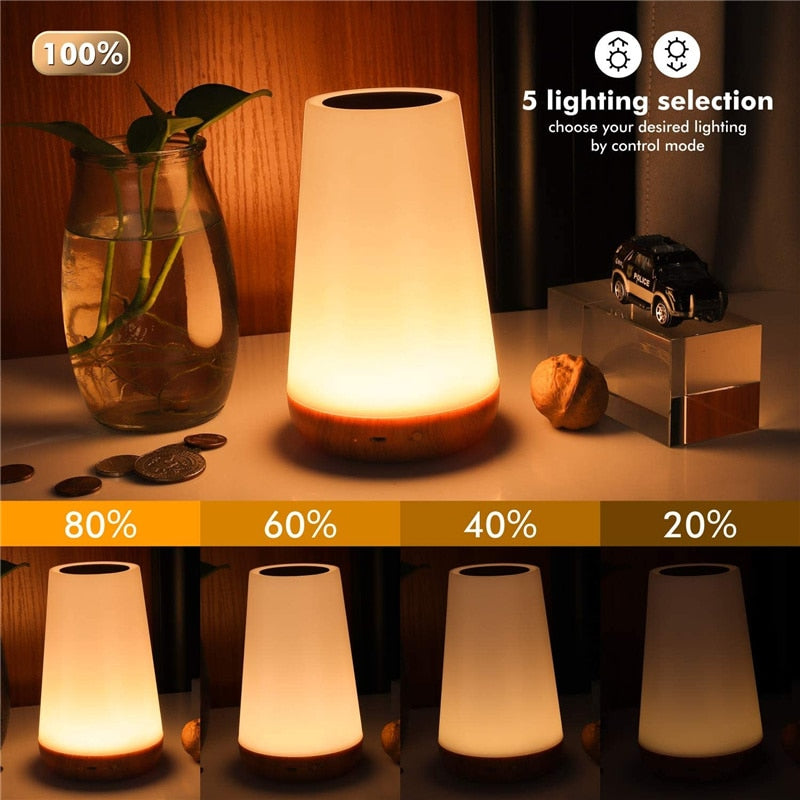 13 Color Changing Night Light Stone's Store