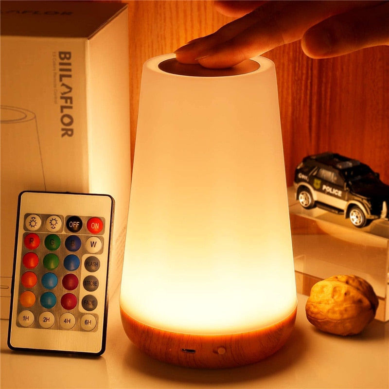 13 Color Changing Night Light Stone's Store