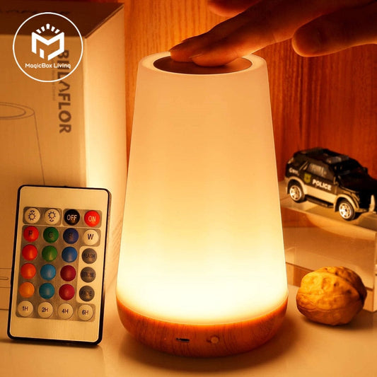 13 Color Changing Night Light Stone's Store